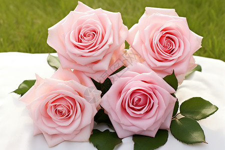 一束美丽的玫瑰花背景图片