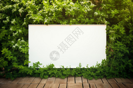 绿色植物背景海报绿色植物背景上的白板背景