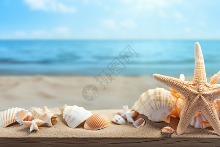 沙滩上天然的贝壳背景图片