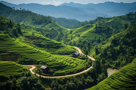 绿色的家园泰国土地高清图片