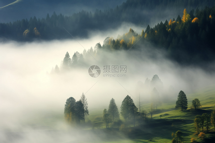 大雾笼罩的山谷图片