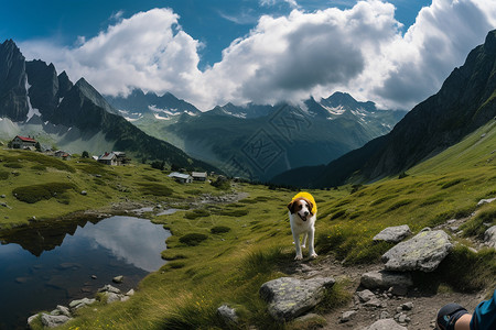 美丽的高山湖泊景观背景图片