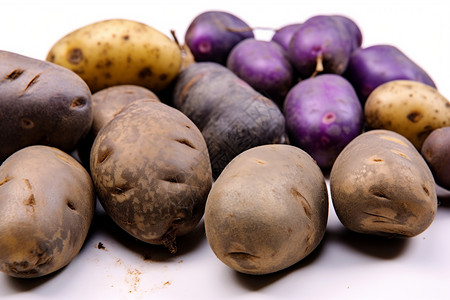 新鲜收获的土豆背景图片