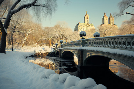 冬日下的中央公园背景图片