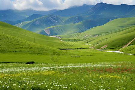绿色山谷中的美丽景色图片