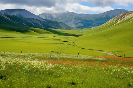 山下草原的美丽风景图片