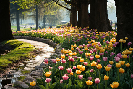 百花公园小路的种满了花朵和树木背景