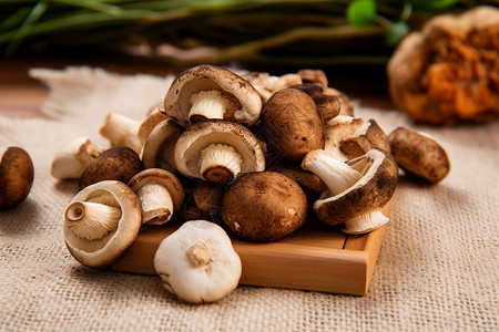 一堆蘑菇健康新鲜的香菇背景