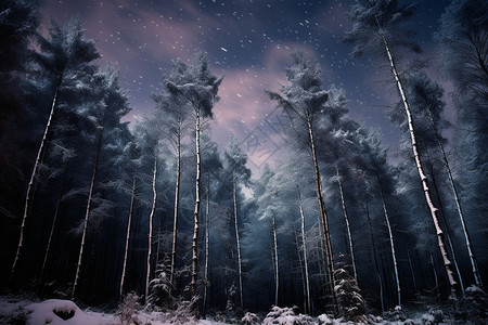 雪夜的森林背景图片