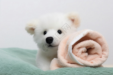 可爱的白色毛绒熊背景图片