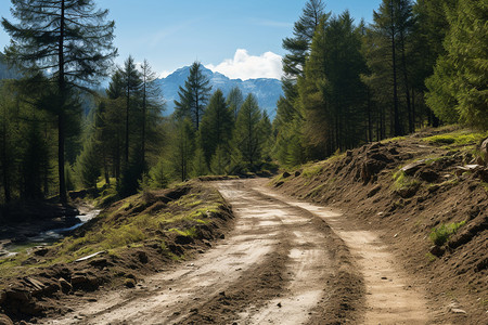 山间小径郊野山间的小径背景