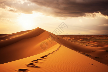 自然的沙丘印记图片