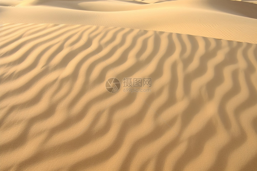 沙漠上的波纹图片