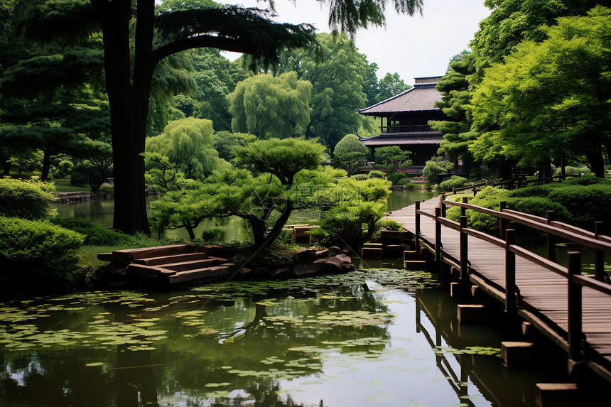 桥上池塘景色图片