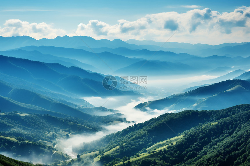 户外的自然风景图片