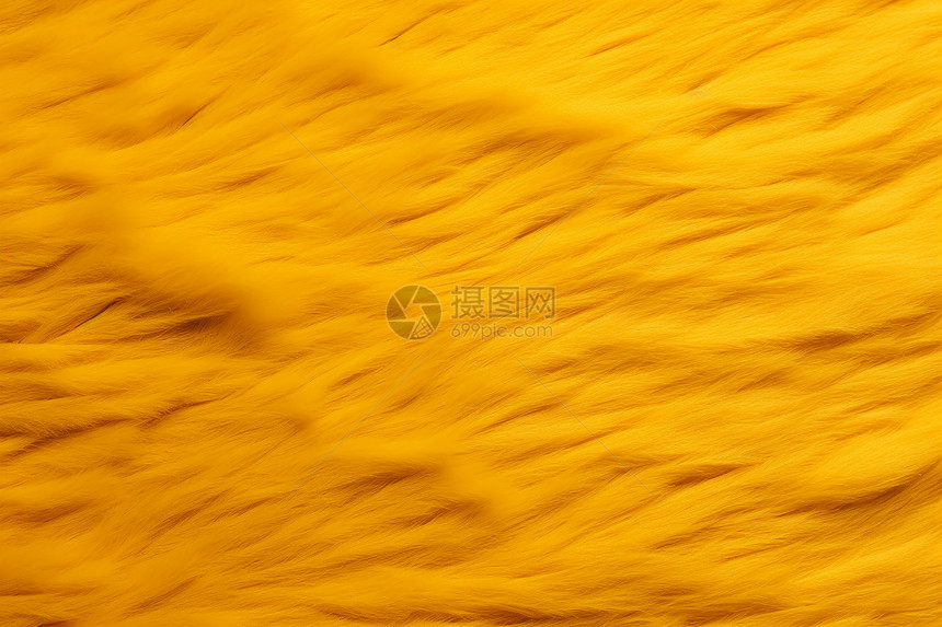 黄色的毛绒材料图片