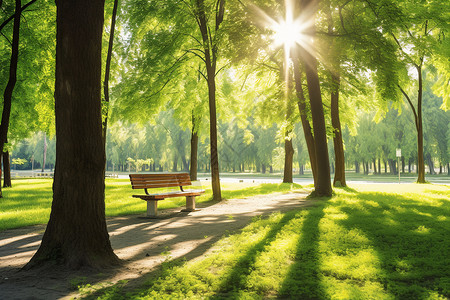 手绘美丽草地公园休息的长椅背景
