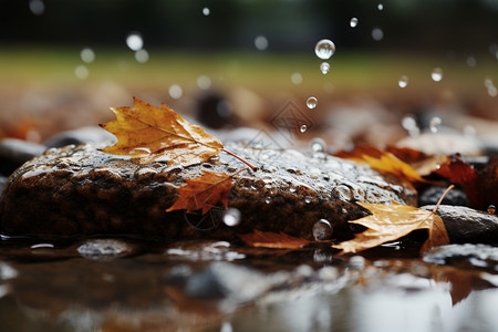 雨中的石头图片