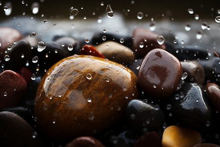 雨水中圆润的鹅卵石图片