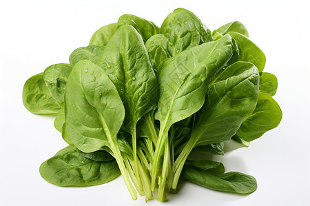 绿叶蔬菜背景图片