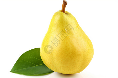 清新健康的梨子背景图片