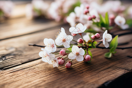 花香四溢背景图片