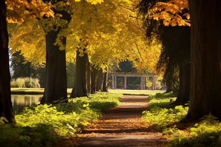 大树树枝素材秋日公园的小路背景