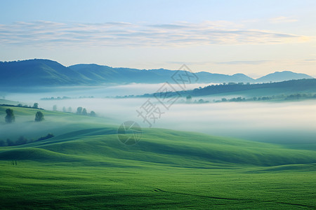 青山中的绿野景色图片