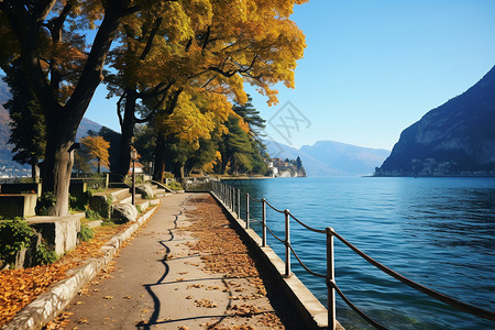 水岸风景湖畔行走的小路背景