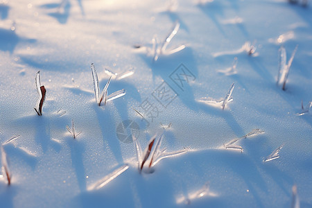 冰天雪地的美景图片