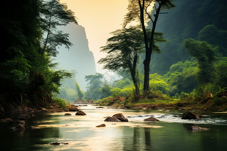 神秘丛林里的河流图片