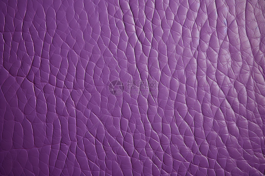 紫色皮革贴纸图片