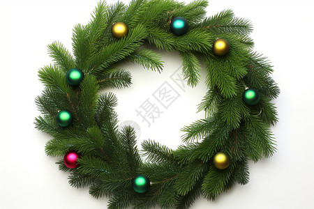 植物圆形装饰圣诞节上的圆形松树装饰背景
