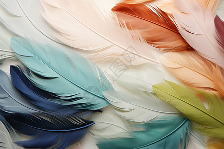 五彩斑斓的羽毛装饰图片