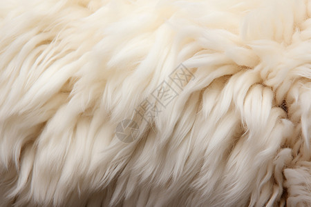 天然动物的绵羊毛皮地毯背景图片