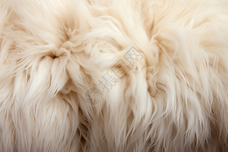 毛茸茸的绵羊毛皮地毯背景图片