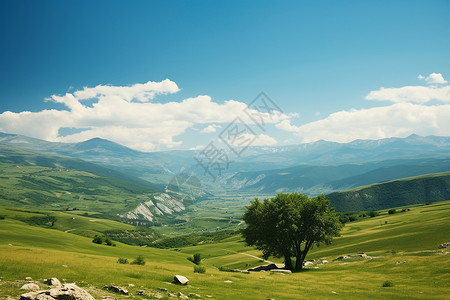 美丽的夏季山谷景观图片