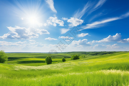 明媚山野的草原景观图片