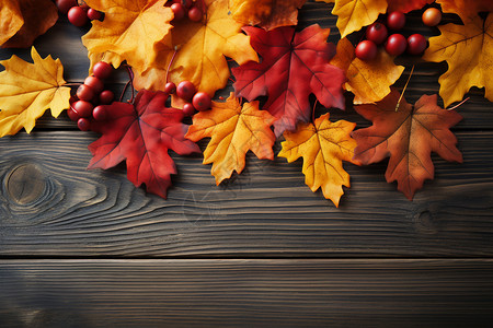 木制板上的叶子和浆果背景图片