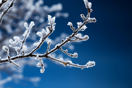 蓝色霜降节气冬日的雪景背景