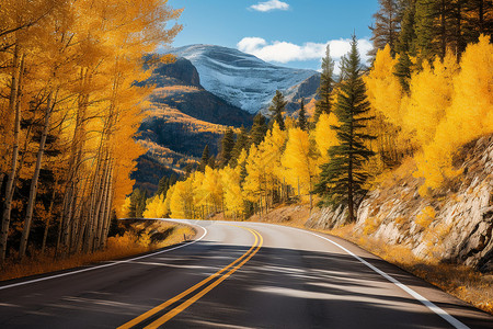 山路中的秋叶飘落背景图片