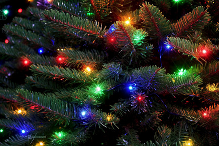 圣诞树上的灯光高清图片