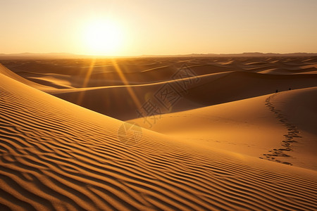 沙丘上的足迹背景图片