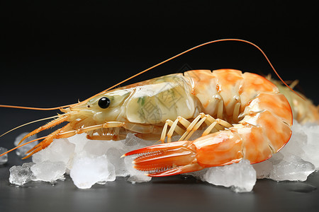 冰上的基围虾背景图片