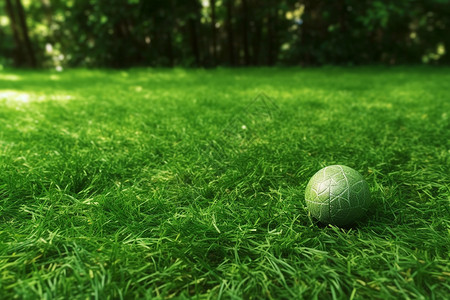 草坪上的小球图片