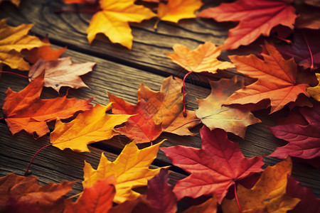 木质桌面上叶子拼图背景图片