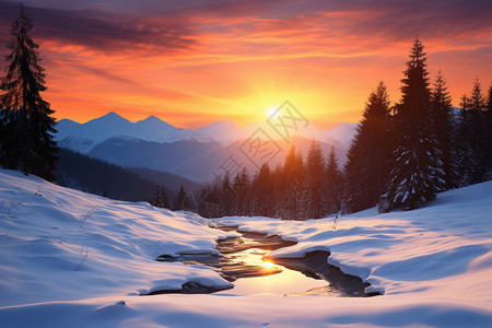森林山景冬日䁔阳的山景背景