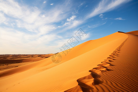 孤寂的沙漠背景图片