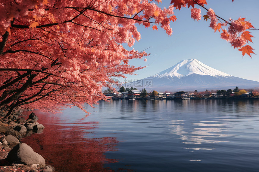 秋日里的富士山图片