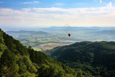 空中林地森林中的红色气球背景